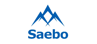 Saebo. Stroke Rehab Products.